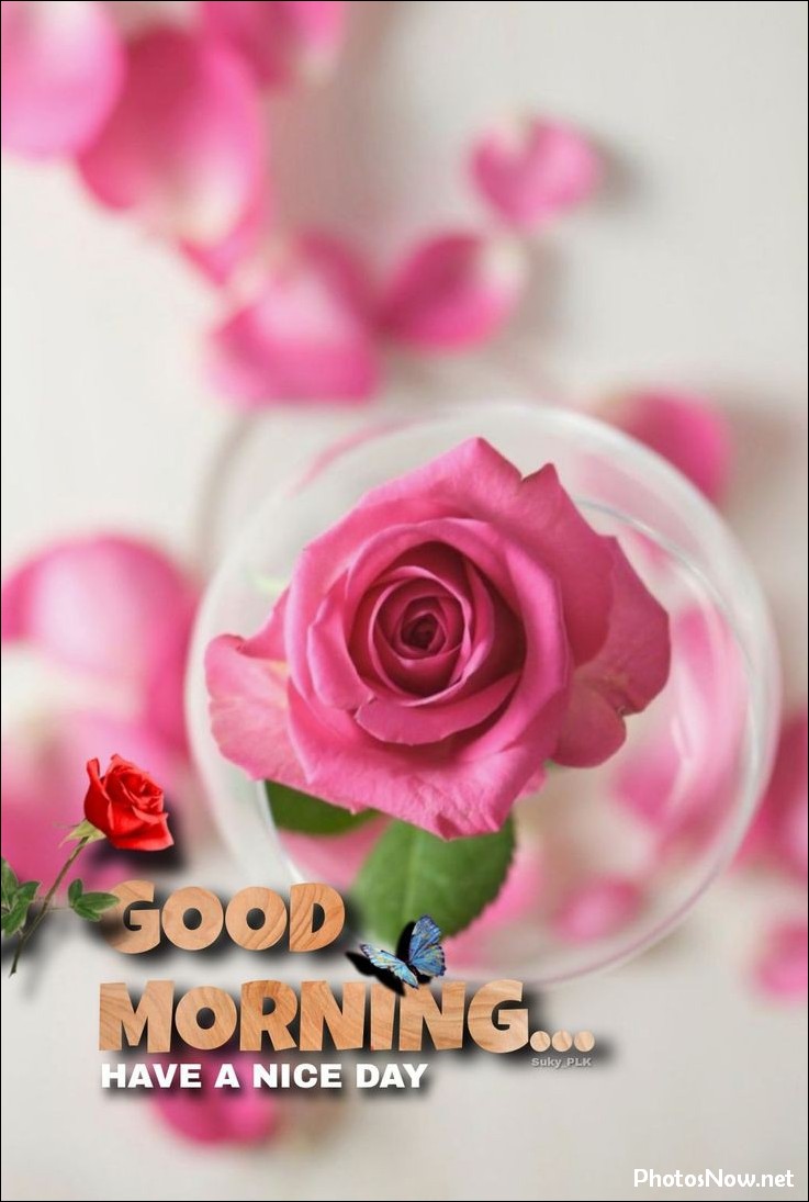 good-morning-images good-morning-images