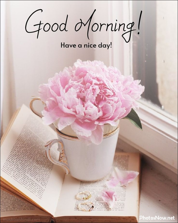 good-morning-images good-morning-photos