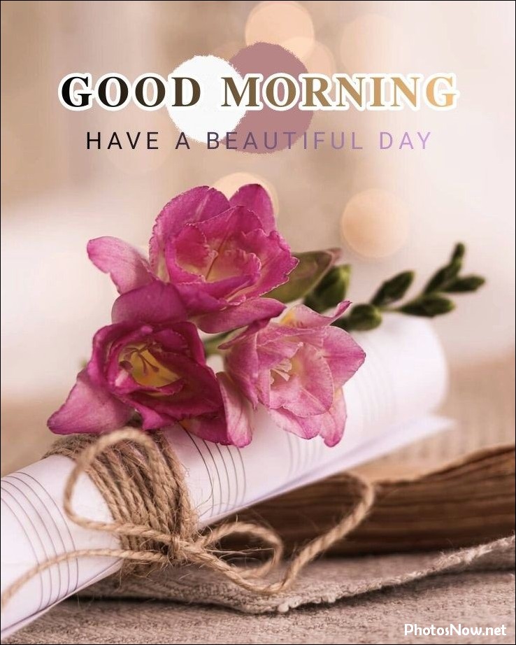 good-morning-images good-morning-images