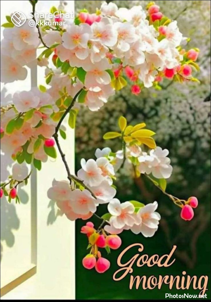 good-morning-images good-morning-images
