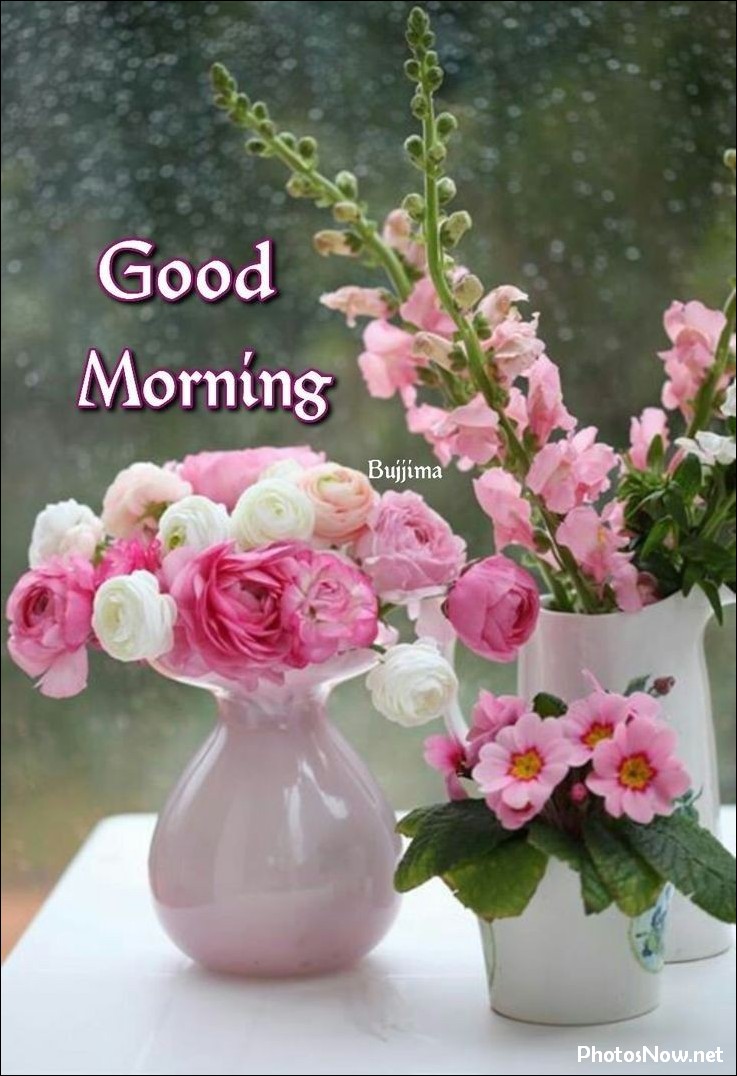 good-morning-images good-morning-images