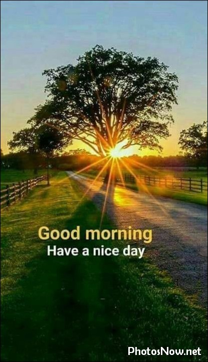 good-morning-images good-morning-images