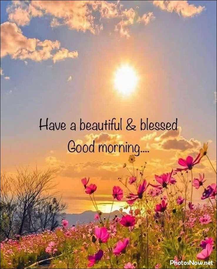 good-morning-images good-morning-images