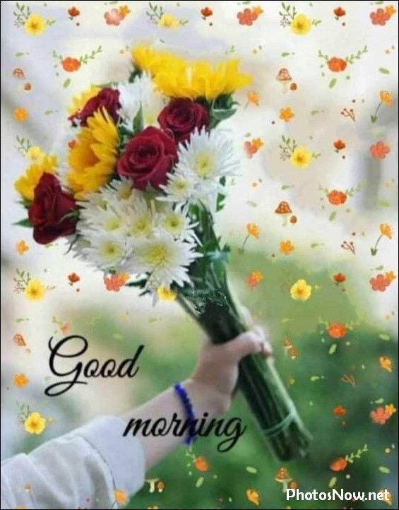 good-morning-images good-morning-images