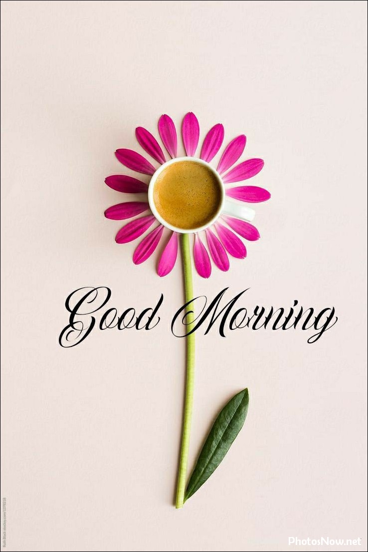good-morning-images good-morning-images