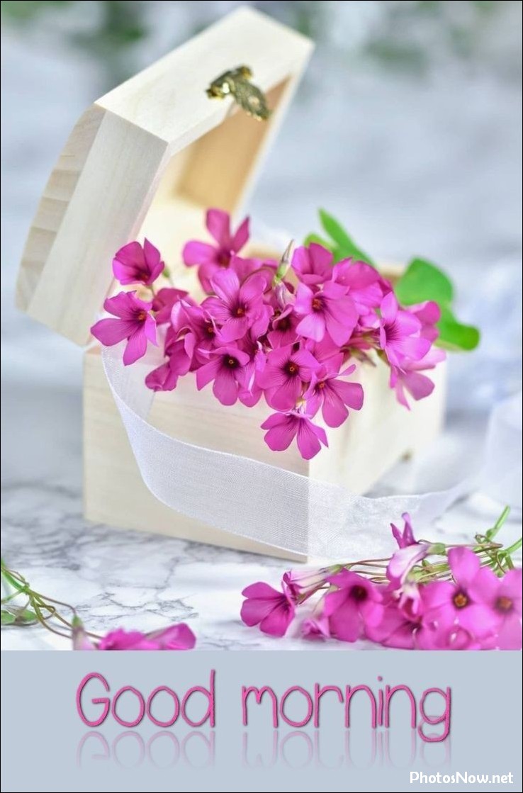 good-morning-images good-morning-images