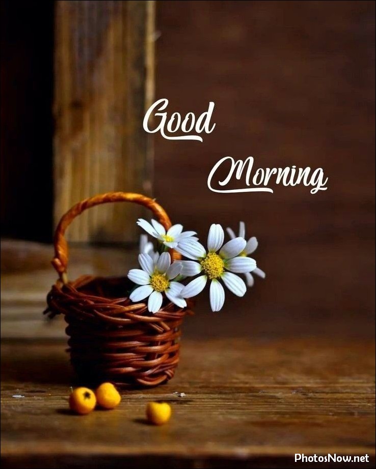 good-morning-images good-morning-pictures