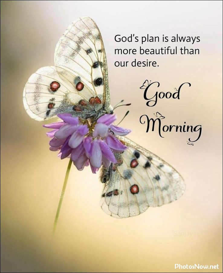 new-good-morning-images-wishes-pictures-photos new-good-morning-images-wishes-pictures-photos