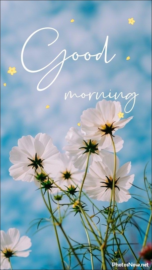 new-good-morning-images-wishes-pictures-photos new-good-morning-images-wishes-pictures-photos