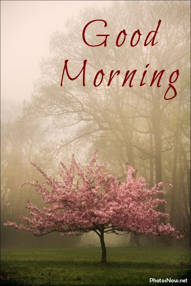 new-good-morning-images-wishes-pictures-photos new-good-morning-images-wishes-pictures-photos
