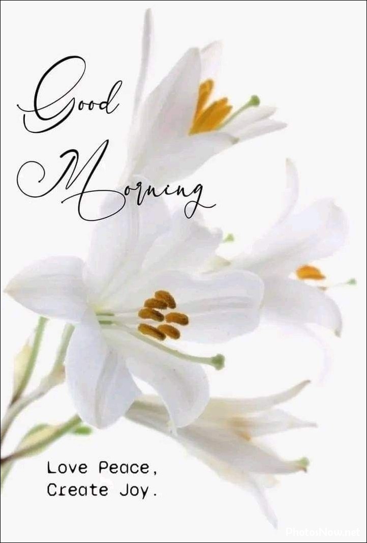 new-good-morning-images-wishes-pictures-photos new-good-morning-images-wishes-pictures-photos