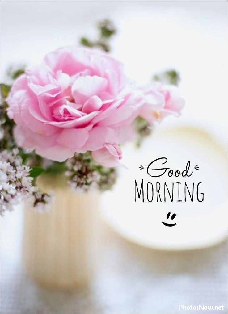 new-good-morning-images-wishes-pictures-photos good-morning-pictures