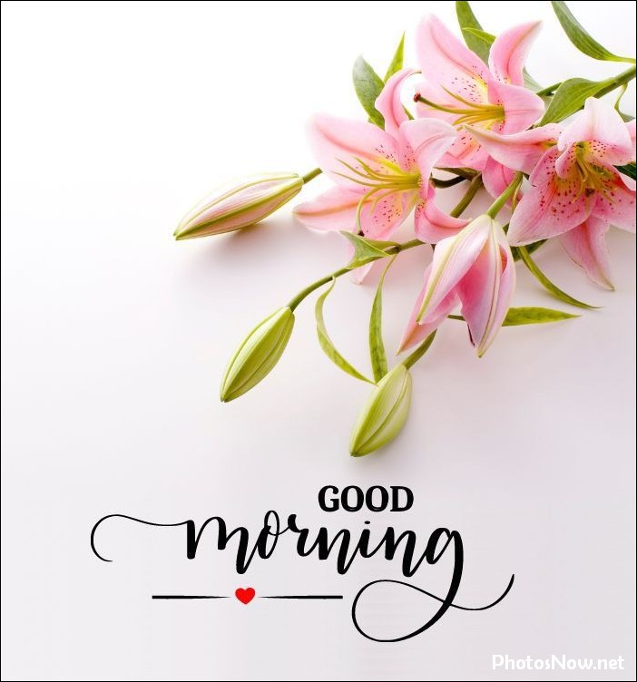 new-good-morning-images-wishes-pictures-photos good-morning-pictures