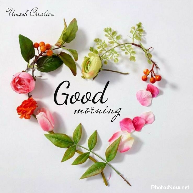 new-good-morning-images-wishes-pictures-photos good-morning-pictures