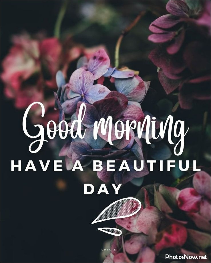 new-good-morning-images-wishes-pictures-photos new-good-morning-images-wishes-pictures-photos
