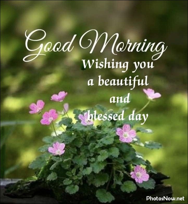 new-good-morning-images-wishes-pictures-photos new-good-morning-images-wishes-pictures-photos