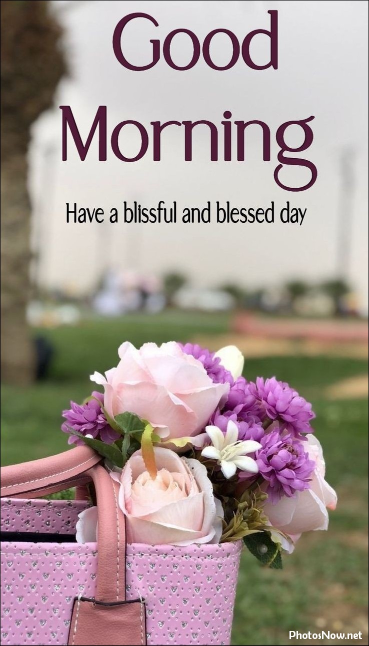 new-good-morning-images-wishes-pictures-photos new-good-morning-images-wishes-pictures-photos