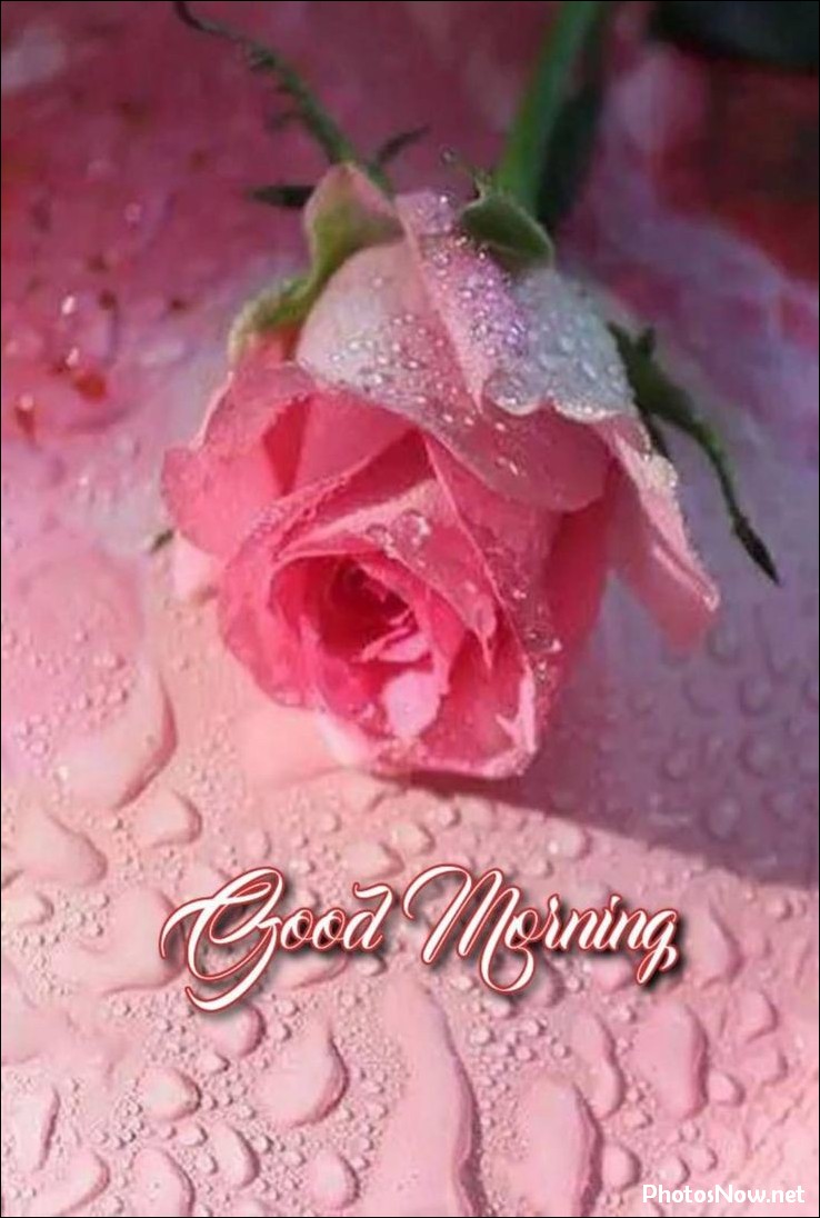 new-good-morning-images-wishes-pictures-photos new-good-morning-images-wishes-pictures-photos