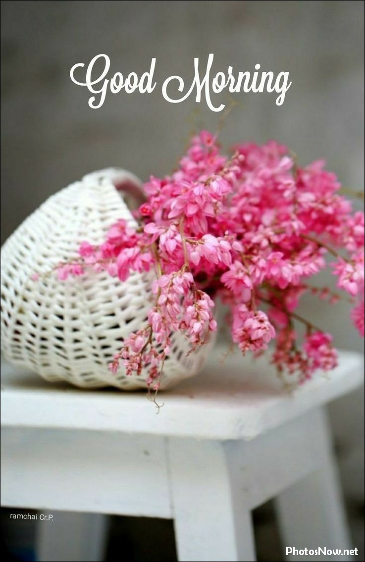 new-good-morning-images-wishes-pictures-photos new-good-morning-images-wishes-pictures-photos