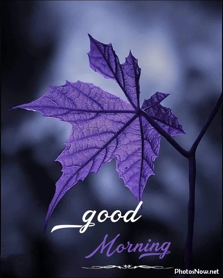 new-good-morning-images-wishes-pictures-photos new-good-morning-images-wishes-pictures-photos