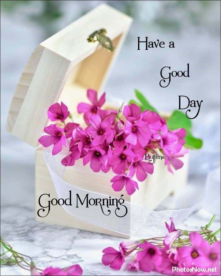 new-good-morning-images-wishes-pictures-photos new-good-morning-images-wishes-pictures-photos