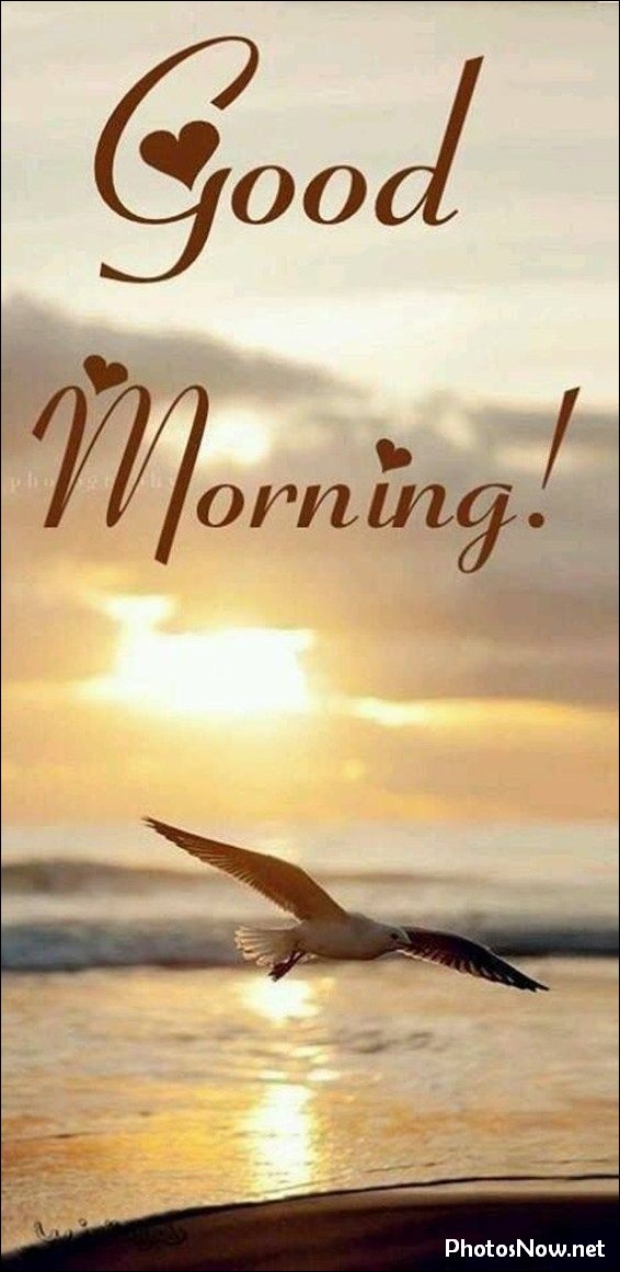 new-good-morning-images-wishes-pictures-photos new-good-morning-images-wishes-pictures-photos