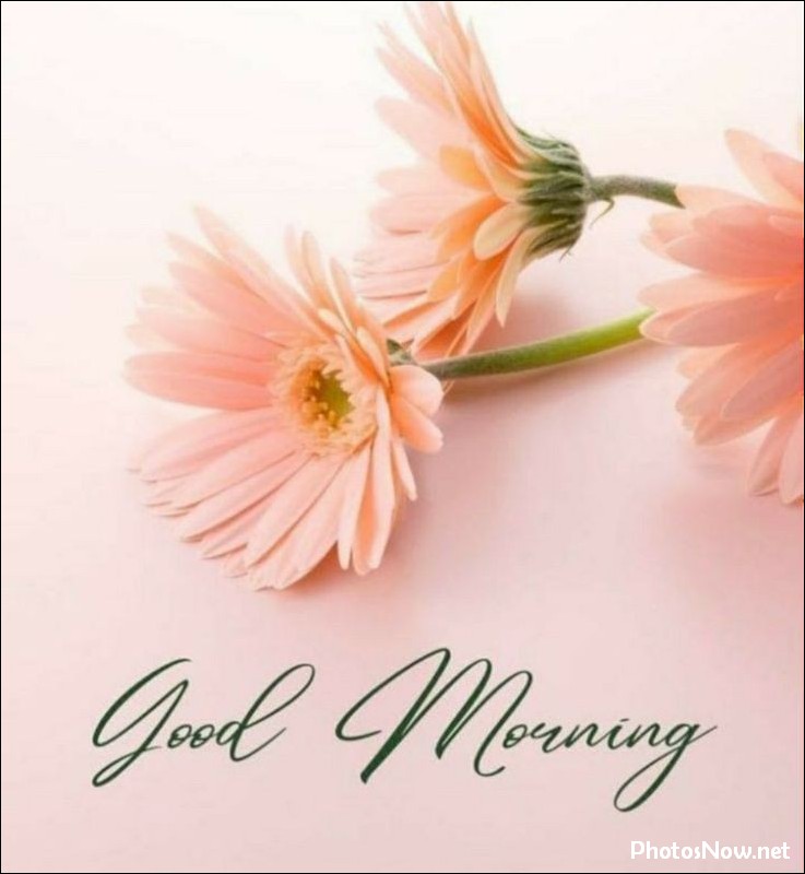 new-good-morning-images-wishes-pictures-photos new-good-morning-images-wishes-pictures-photos