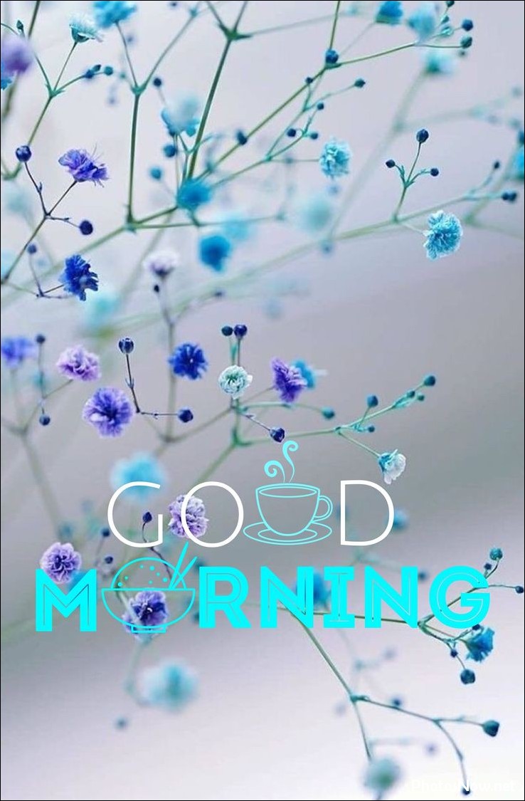 new-good-morning-images-wishes-pictures-photos new-good-morning-images-wishes-pictures-photos