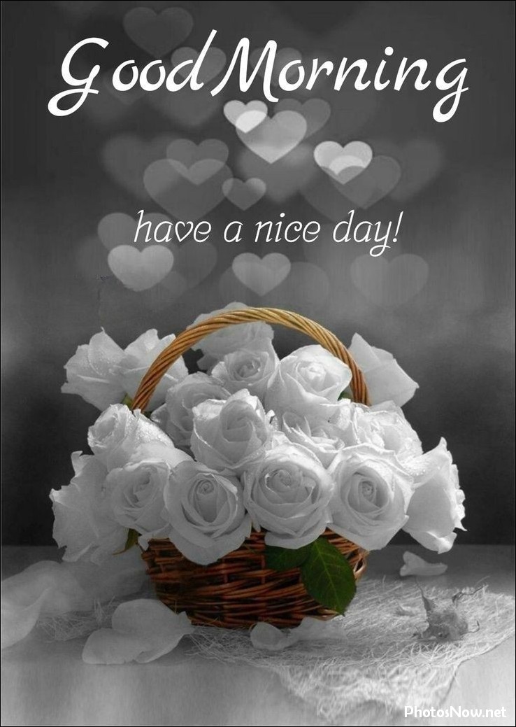 new-good-morning-images-wishes-pictures-photos new-good-morning-images-wishes-pictures-photos