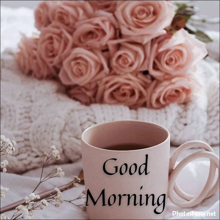 new-good-morning-images-wishes-pictures-photos new-good-morning-images-wishes-pictures-photos
