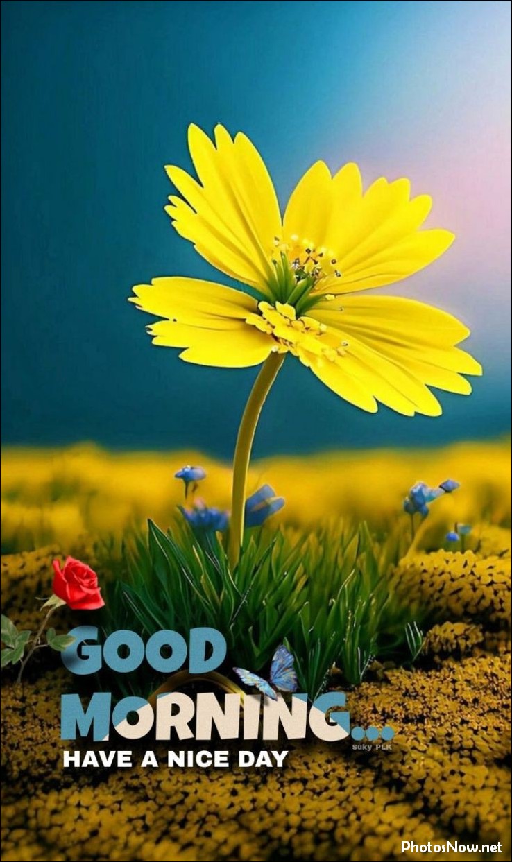 new-good-morning-images-wishes-pictures-photos new-good-morning-images-wishes-pictures-photos