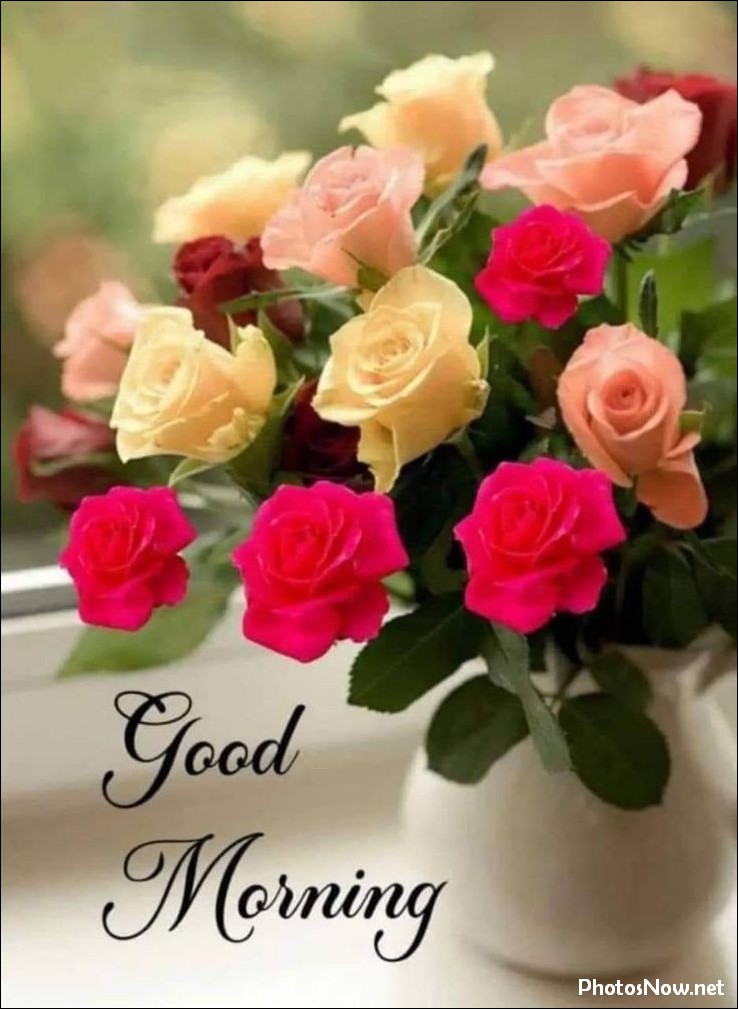 new-good-morning-images-wishes-pictures-photos new-good-morning-images-wishes-pictures-photos