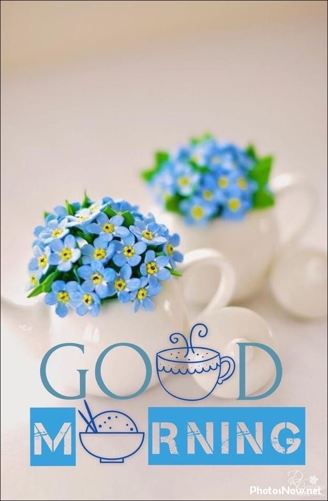 new-good-morning-images-wishes-pictures-photos new-good-morning-images-wishes-pictures-photos