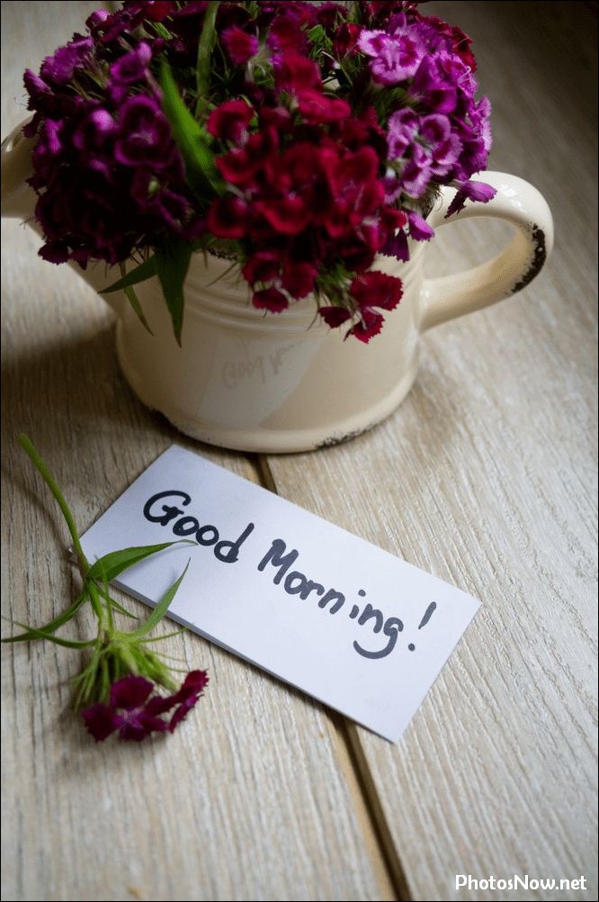 new-good-morning-images-wishes-pictures-photos new-good-morning-images-wishes-pictures-photos