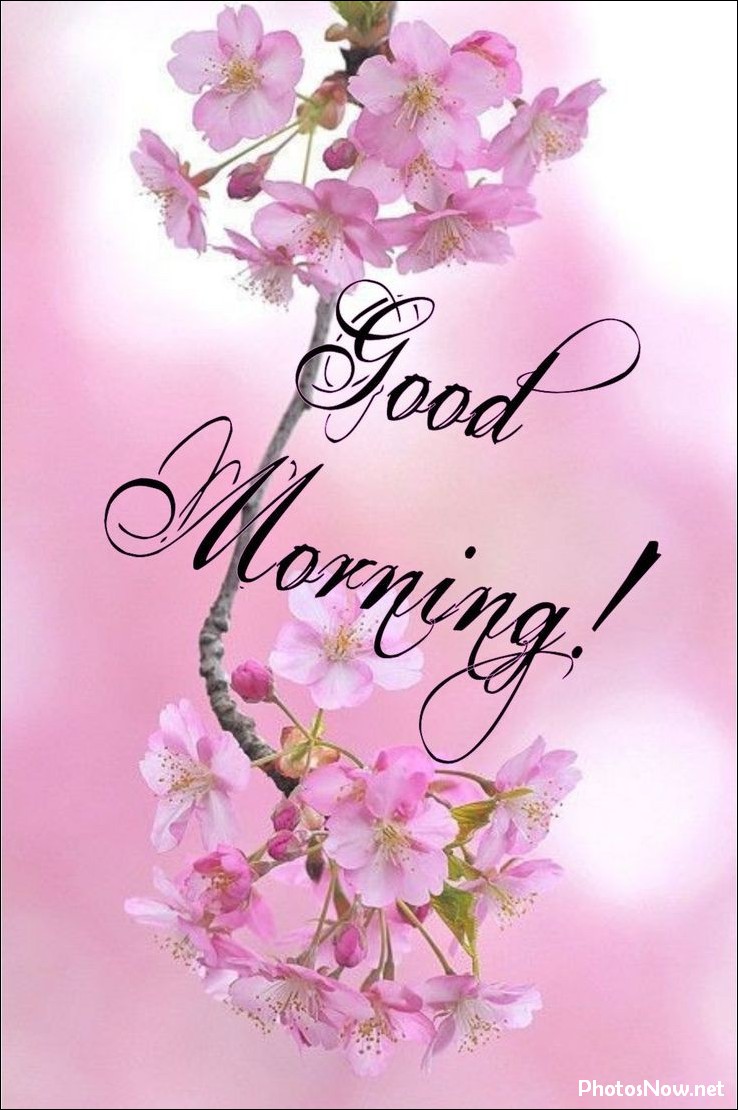 new-good-morning-images-wishes-pictures-photos new-good-morning-images-wishes-pictures-photos