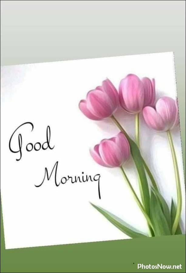 new-good-morning-images-wishes-pictures-photos new-good-morning-images-wishes-pictures-photos