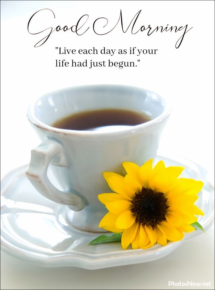 new-good-morning-images-wishes-pictures-photos new-good-morning-images-wishes-pictures-photos