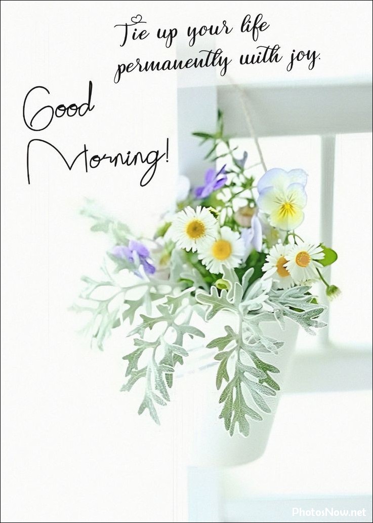 new-good-morning-images-wishes-pictures-photos new-good-morning-images-wishes-pictures-photos