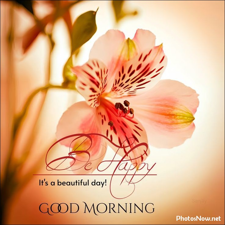 new-good-morning-images-wishes-pictures-photos new-good-morning-images-wishes-pictures-photos