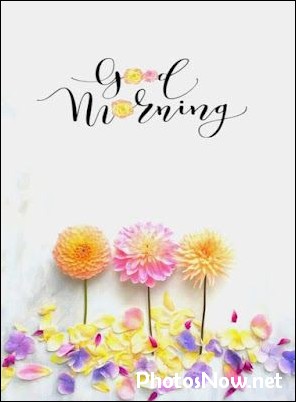 new-good-morning-images-wishes-pictures-photos new-good-morning-images-wishes-pictures-photos