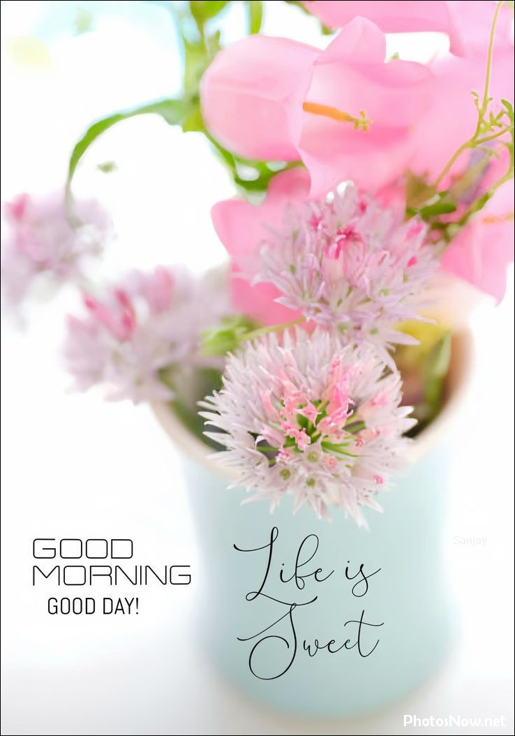 new-good-morning-images-wishes-pictures-photos new-good-morning-images-wishes-pictures-photos