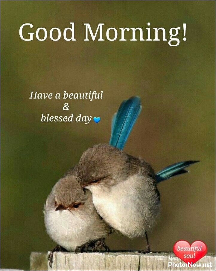new-good-morning-images-wishes-pictures-photos new-good-morning-images-wishes-pictures-photos