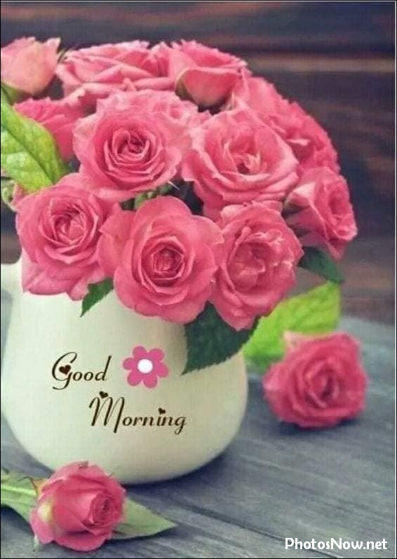 new-good-morning-pic-hd new-good-morning-pic-hd