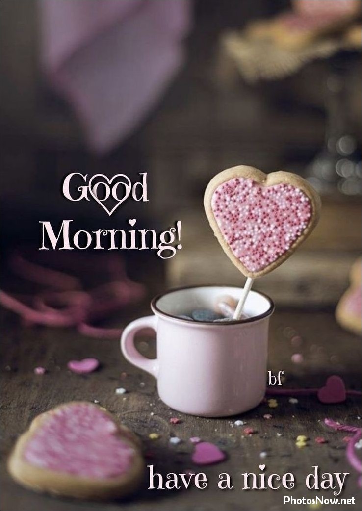 new-good-morning-pic-hd new-good-morning-pic-hd