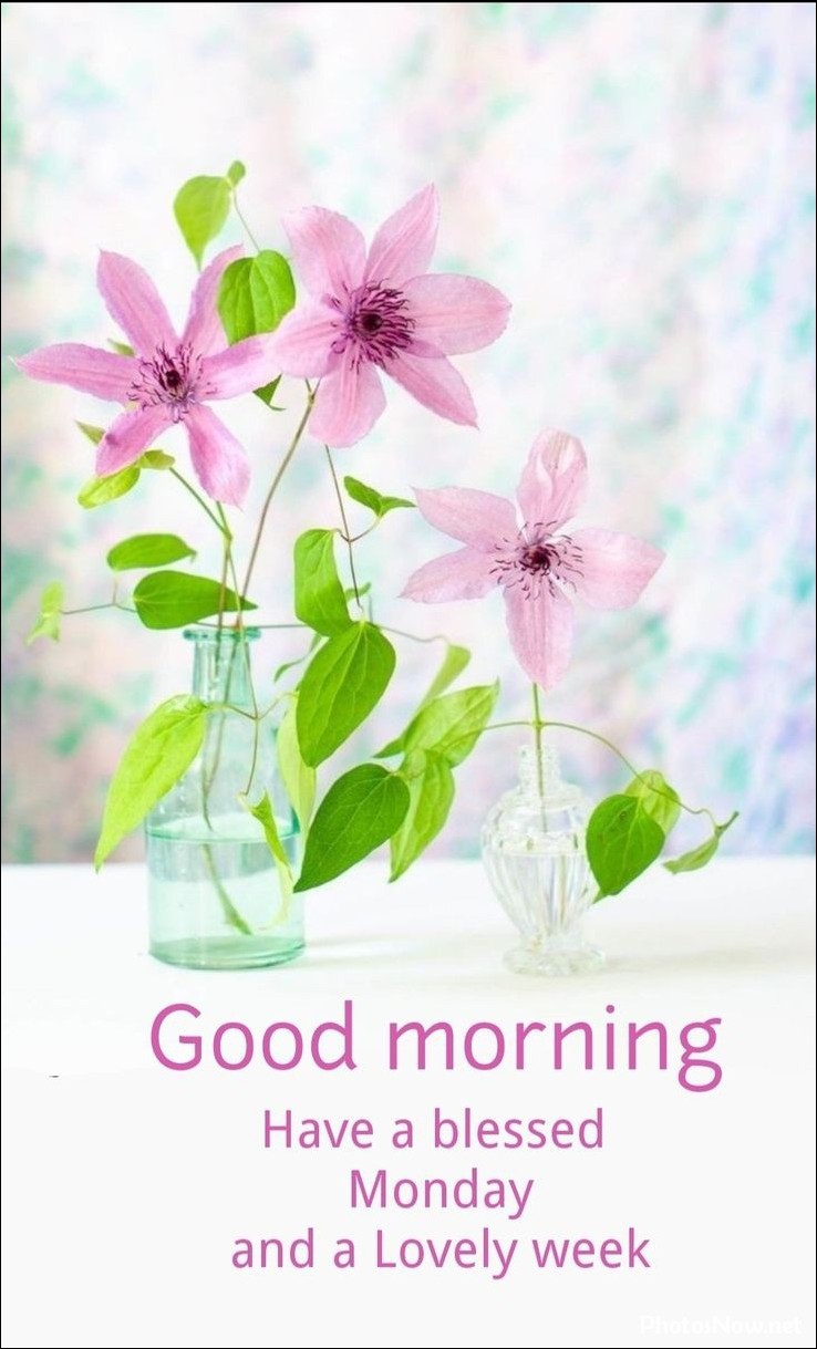 new-good-morning-pic-hd new-good-morning-pic-hd