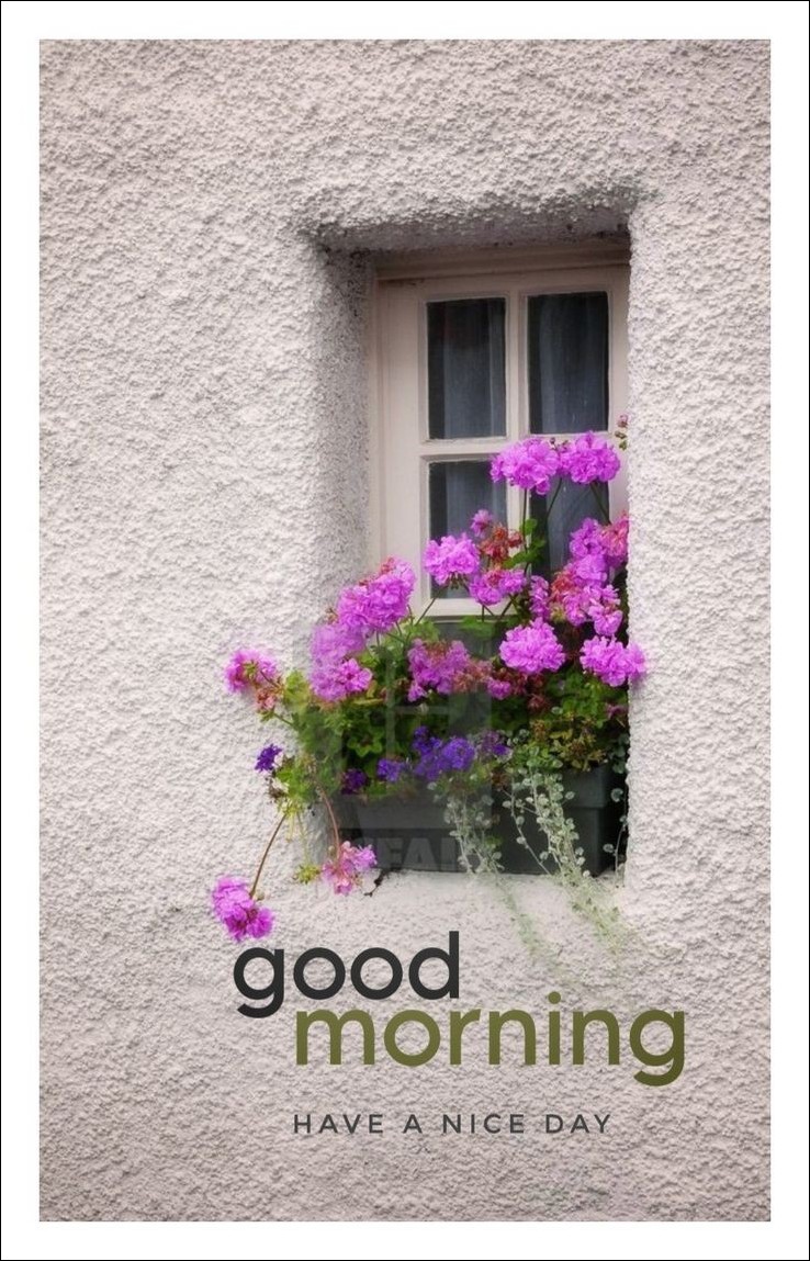 new-good-morning-pic-hd new-good-morning-pic-hd