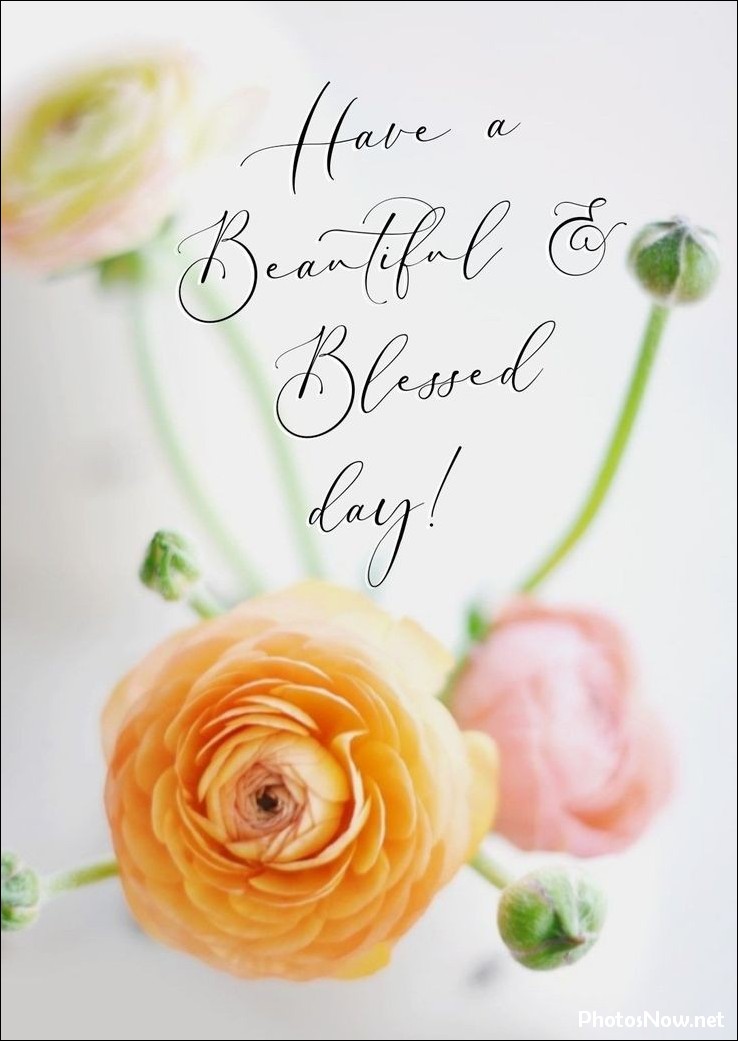 new-good-morning-pic-hd new-good-morning-pic-hd