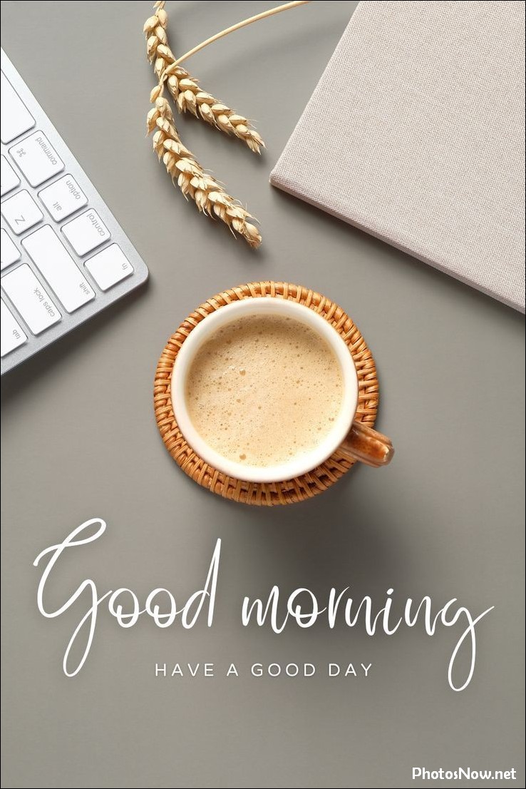 new-good-morning-pic-hd new-good-morning-pic-hd
