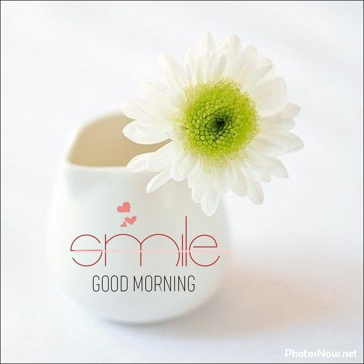 new-good-morning-pic-hd new-good-morning-pic-hd