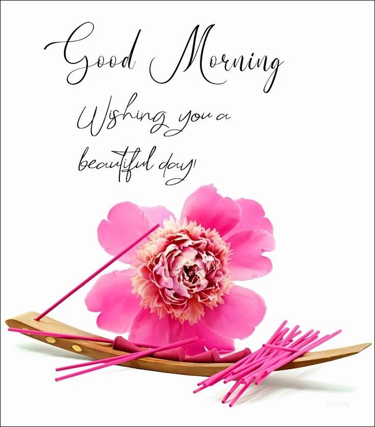 new-good-morning-pic-hd new-good-morning-pic-hd